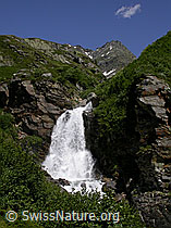 F004127: Wasserfall in Binna bei Chiestafel