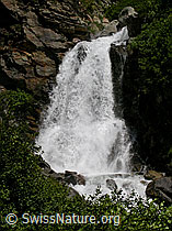 F004128: Wasserfall in der Binna