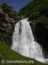 F004132: Grosser Wasserfall in der Binna