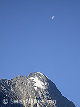 F005125: Gipfel des Eiger mit "Lauper-Eisfeld" und Mond