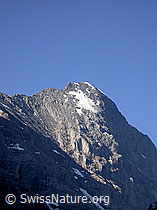 F005126: Lauper-Eisfeld am Eiger