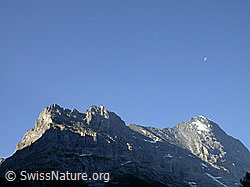 F005127: Hörnli, Mittellegigrat und Eiger