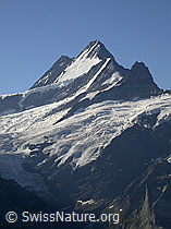 F005134: First: Lauteraarhorn, Schreckhorn, kleines Schreckhorn