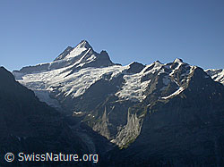Foto: Oberer Grindelwaldgletscher, Lauteraarhorn, Schreckhorn