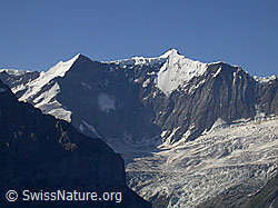 F005137: Ochs und Gross Fiescherhorn