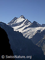 F005143: Lauteraarhorn, Schreckhorn und kleines Schreckhorn