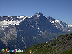 F005144: Trugberg, Eiger und Jungfrau