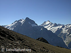 F005150: Rosenhorn, Mittelhorn, Wetterhorn, Lauteraarhorn, Schreckhorn