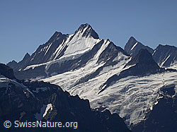 F005158: Lauteraarhorn, Schreckhorn und Finsteraarhorn
