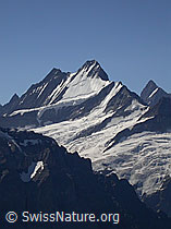 F005159: Lauteraarhorn, Schreckhorn, Finsteraarhorn