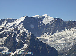 F005163: Schwarzhorn: Ochs, Hinter Fiescherhorn und Gross Fiescherhorn