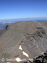 F005170: Schwarzhorn: Wildgärst