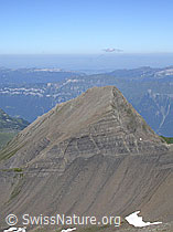 F005173: Schwarzhorn: Gärstenhorn
