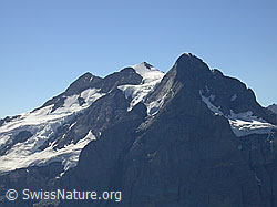 F005176: Rosenhorn, Mittelhorn, Wetterhorn