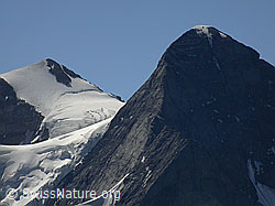 F005191: Gipfel von Mittelhorn und Wetterhorn