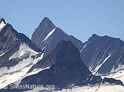 F005194: Finsteraarhorn und Kleines Schreckhorn