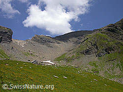 F005228: Grosse Chrinne, Berner Oberland