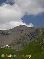 F005239: Gipfel des Schwarzhorn, Grindelwald