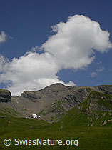 F005240: Grosse Chrinne und Schwarzhorn