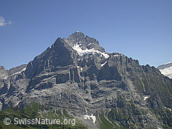 F005242: Wetterhorn