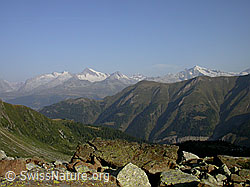 F005487: Berner Alpen, Eggerhorn, Chli Fühlhorn, Schweifegrat