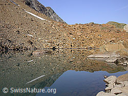 F005507: Spiegelung im untersten Geisspfadsee
