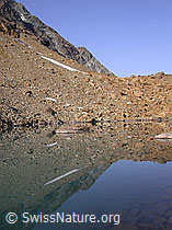 F005508: Unterster Geisspfadsee mit Spiegelung