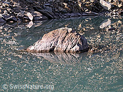F005509: Felsblock mit Spiegelung im Wasser