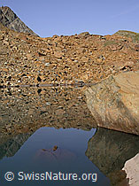 F005510: Rötliches Gestein mit Spiegelung in Bergsee
