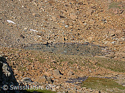 F005519: Der unterste Geisspfadsee von E