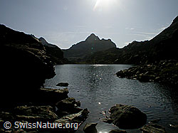 F005524: Züesee und Grampielhorn