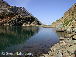 F005526: Schwache Spiegelung im Züesee