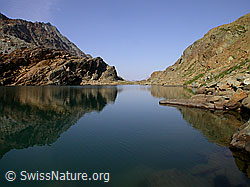 F005529: Symetrie in ruhigem Bergsee