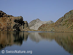 F005540: Züesee mit Stockhorn