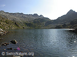 F005543: Geisspfadsee, Grampielpass und Grampielhorn