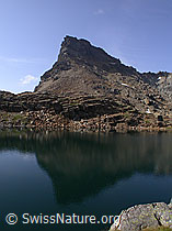F005545: Rothorn, Original und Spiegelung im Geisspfadsee