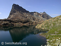 F005548: Rothorn und Schwarzhorn mit Spiegelung im Geisspfadsee