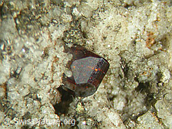 F005668: Anatas, 3mm