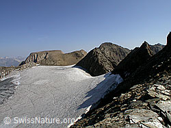 Foto: 4. Turbechepf: Fäldbachgletscher, Rappehorn, Ober Rappehorn