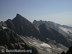 F005753: Turbhorn und Strahlgrät