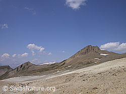 F005774: Holzjihorn und helle Geröllflanke
