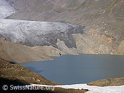 Foto: Griessee und Gletscherzunge des Griesgletschers