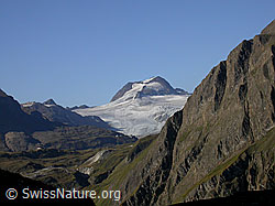 F005919: Griespass: Ofenhorn