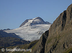 F005920: Ofenhorn, Binntal, vom Griespass