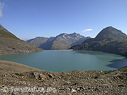 F005924: Blick aus der Region Griespass über den Griessee