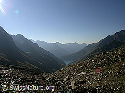 F005925: Griespass: Aussicht nach Italien