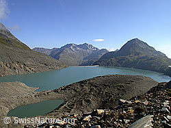 F005926: Griessee, Piz Gallina, Nufenenstock und See im Gletschervorfeld