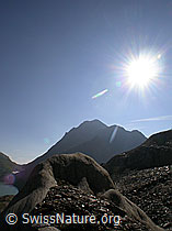 F005929: Gletscherschliff und Grieshorn im Gegenlicht