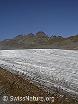 Foto: Ritzhörner und Griesgletscher