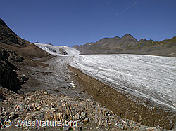 Foto: Blinnenhorn, Griesgletscher und Ritzhörner